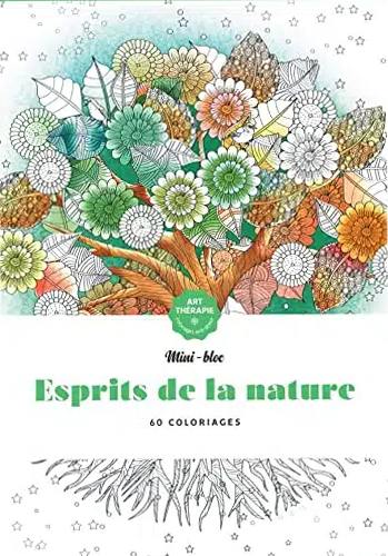 Anti Stress Mini-bloc d'Art-thérapie Esprits de la nature