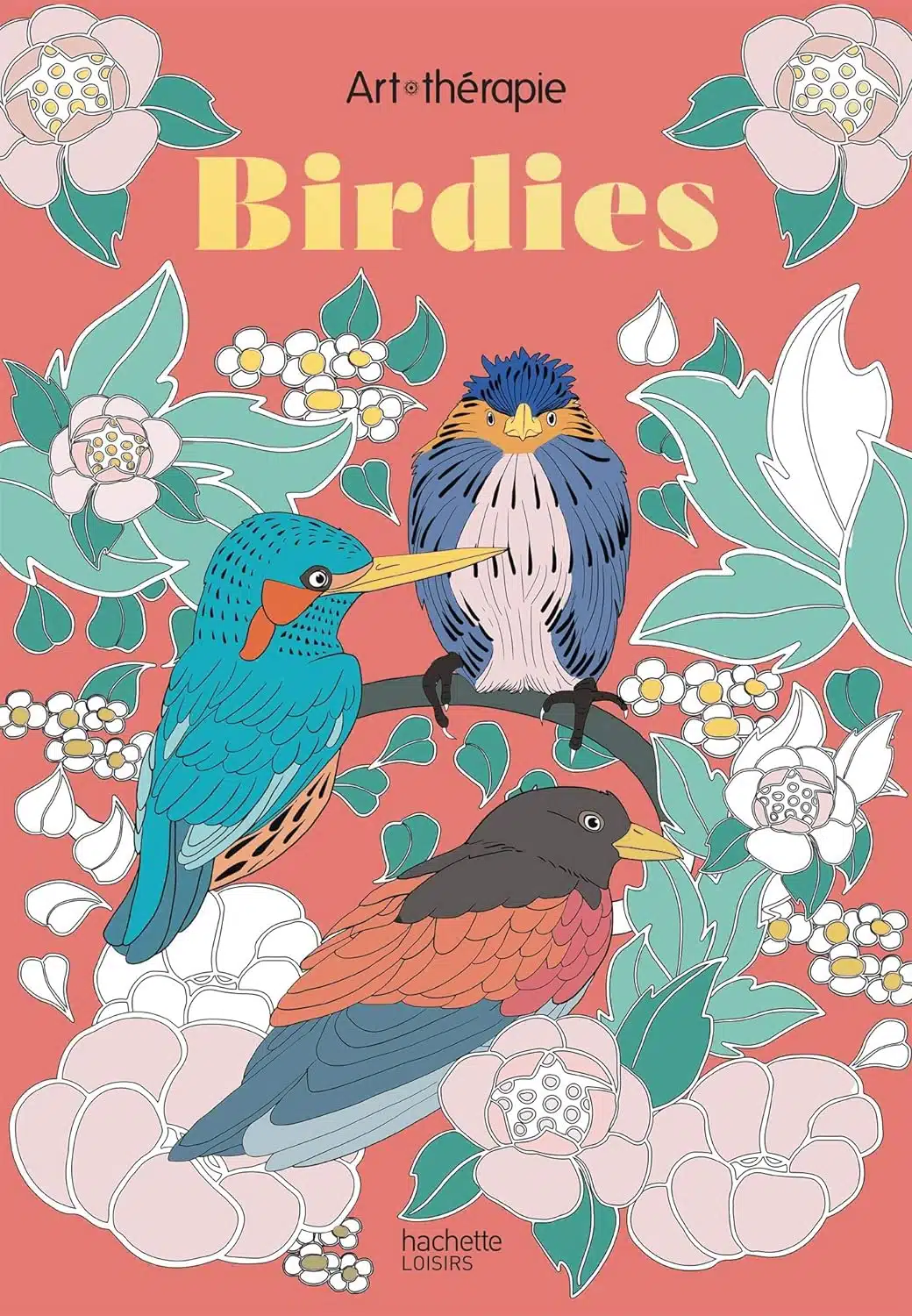 Anti Stress Les Petits blocs d'Art-thérapie Birdies