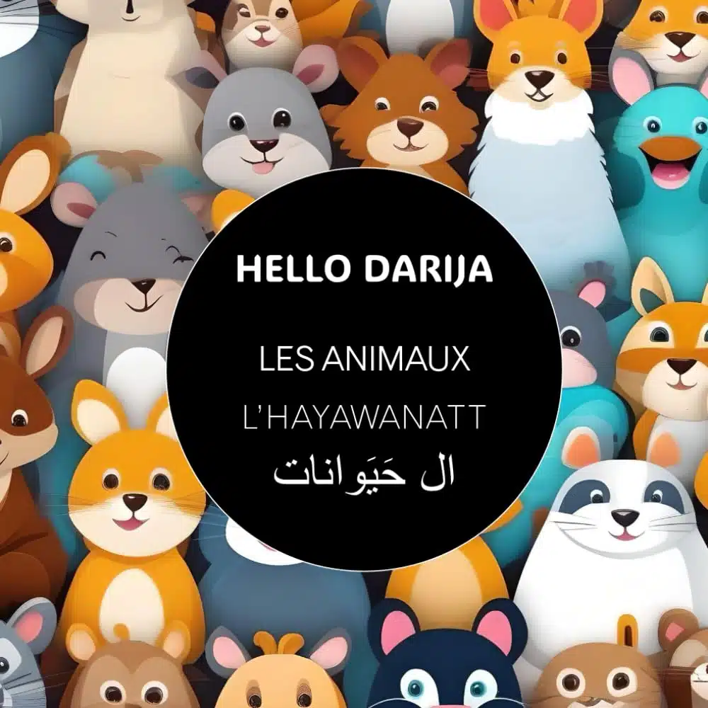L' HAYAWANATT - Les animaux