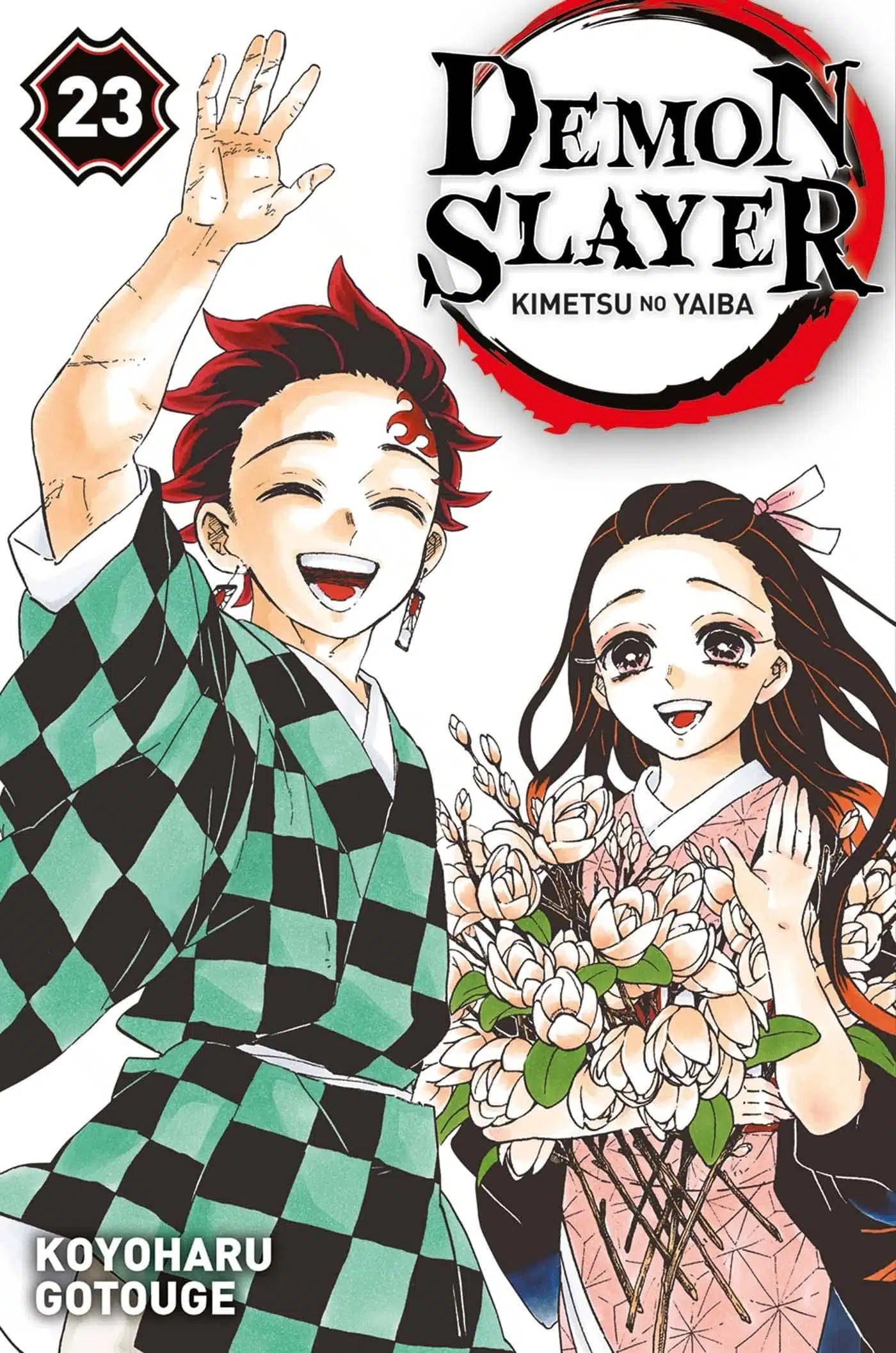 Demon Slayer T23