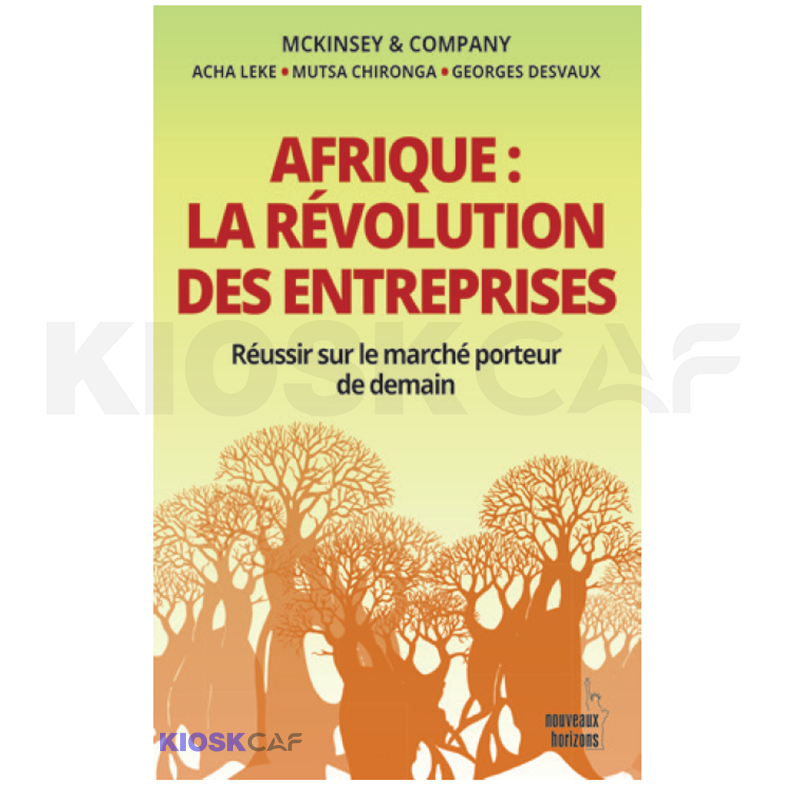 Afrique La Révolution Des Entreprises
