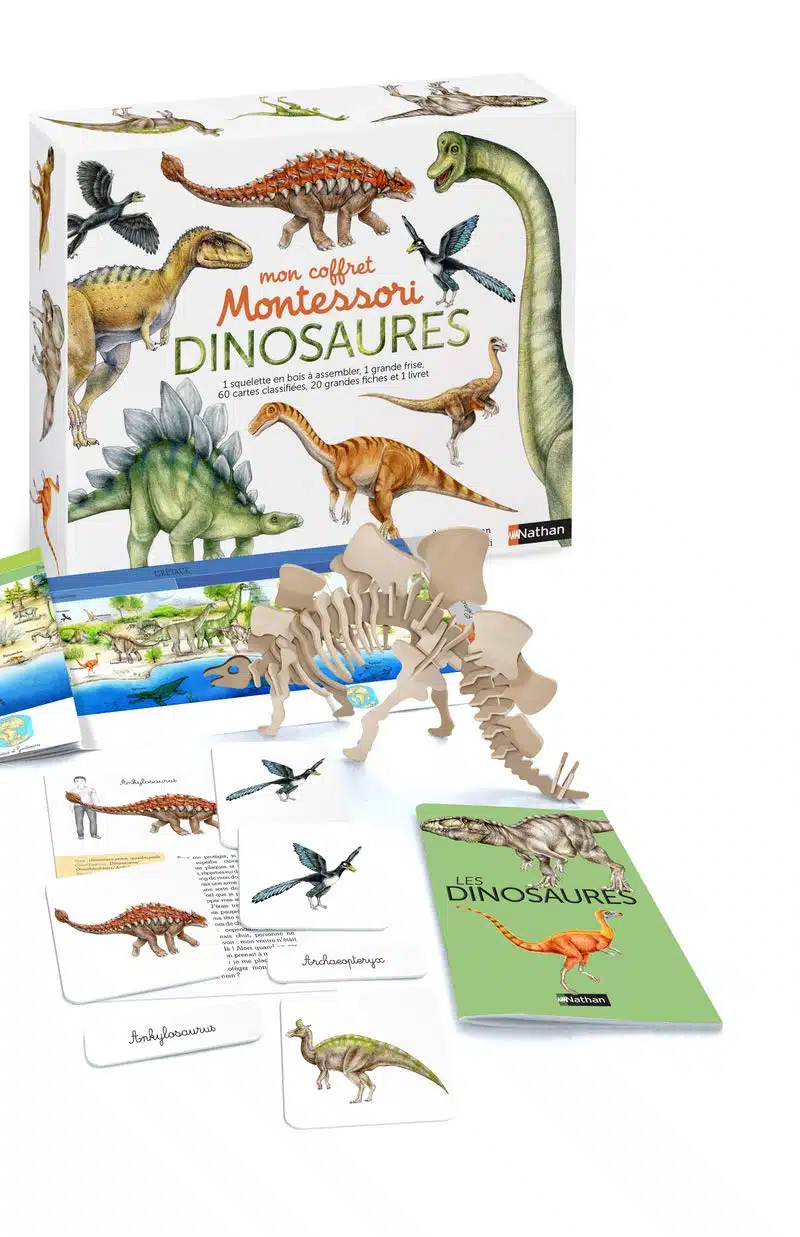 Mon coffret Montessori dinosaures - Dès 5 ans