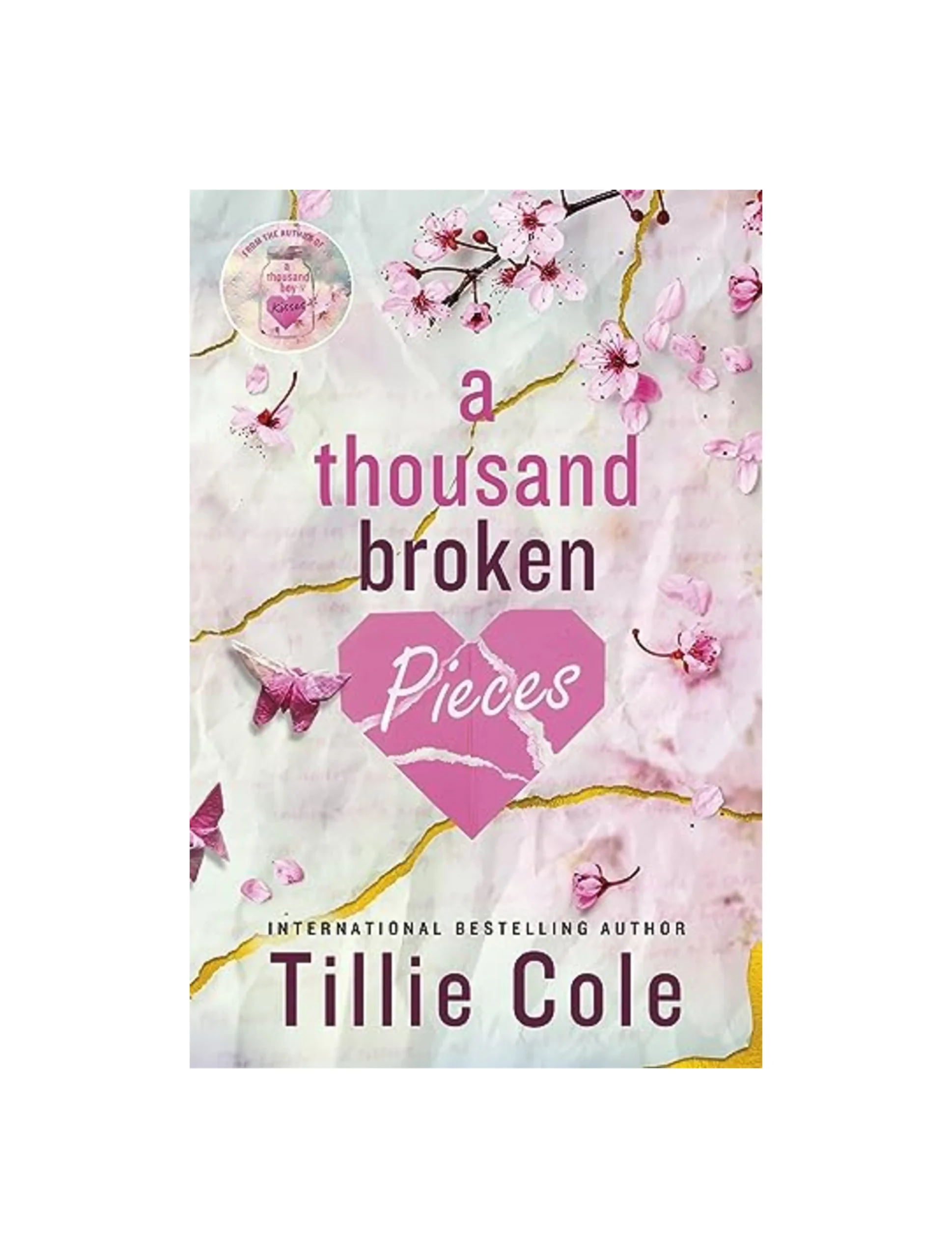 A Thousand Broken Pieces