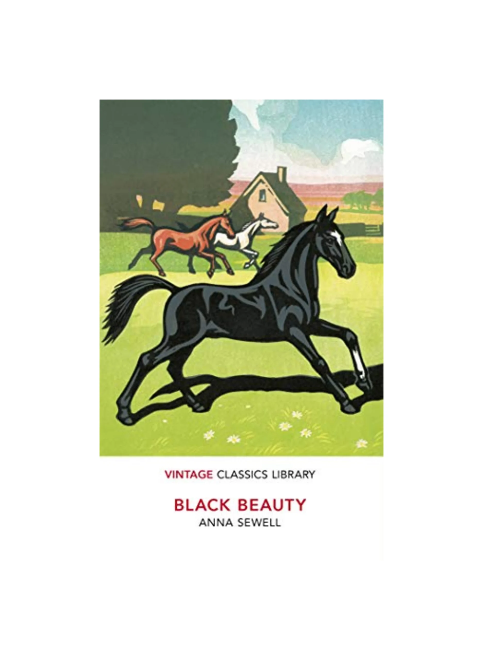Black Beauty