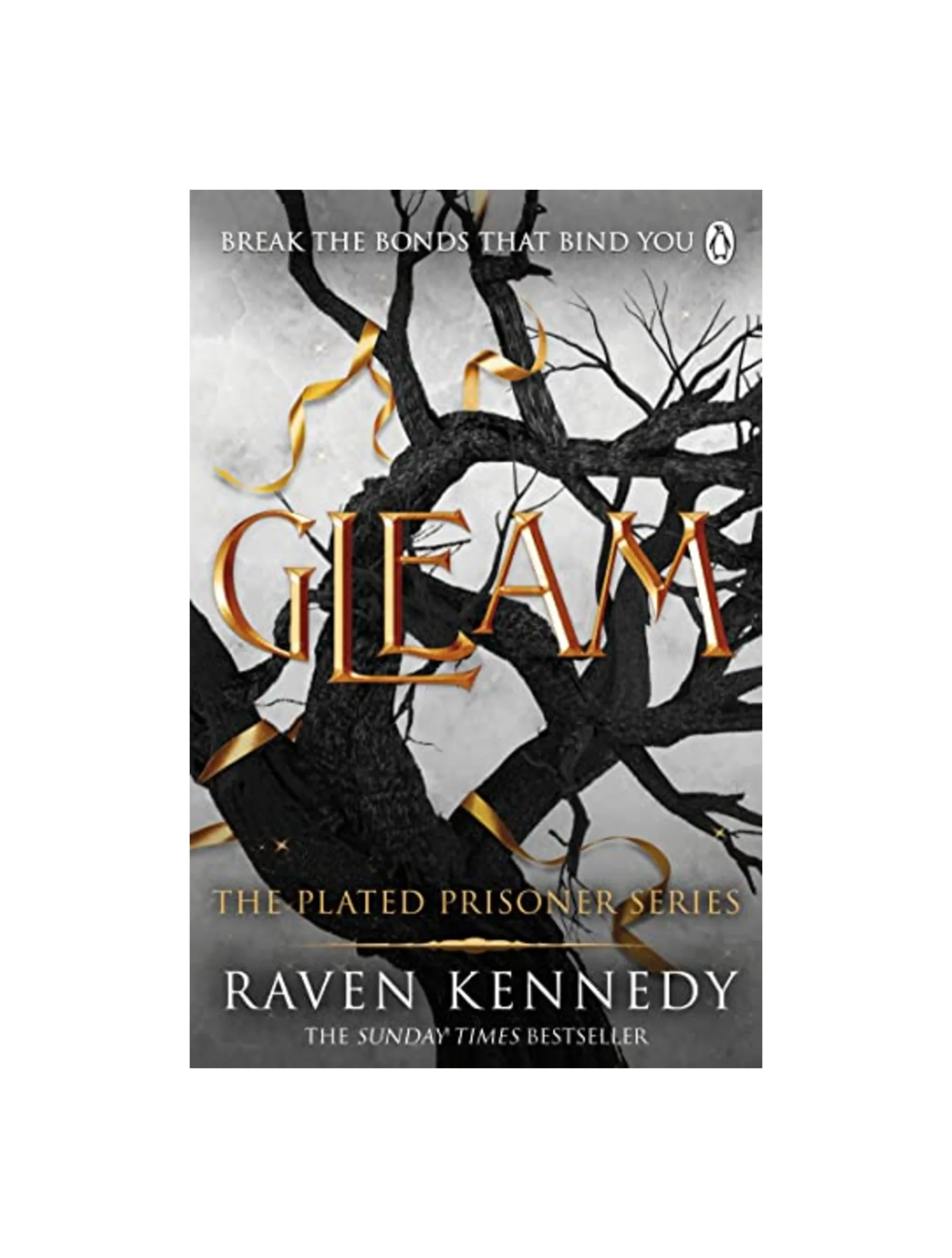 Gleam: The dark fantasy romance TikTok sensation that’s sold over a million copies