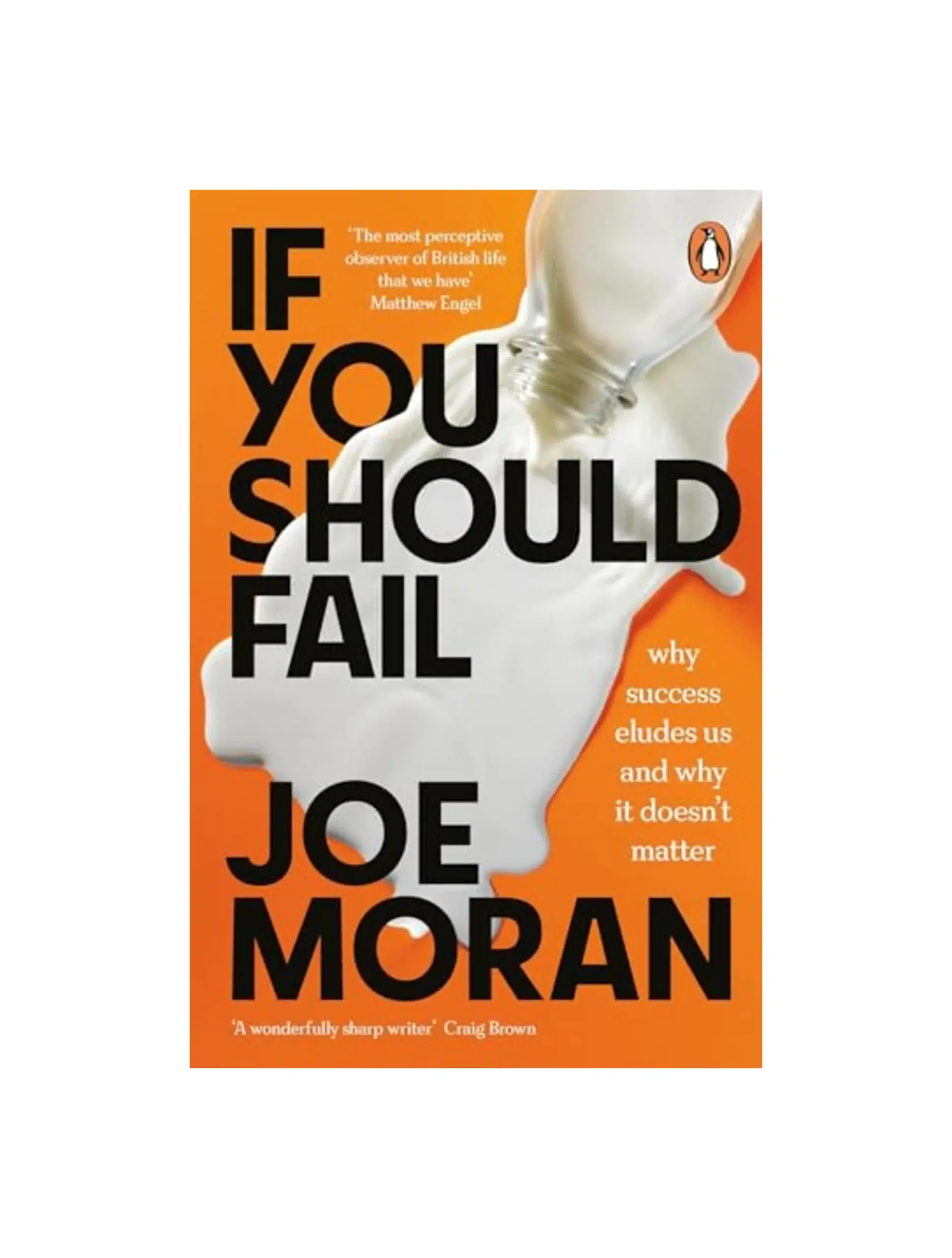 If You Should Fail: Why Success Eludes Us and Why It Doesn’t Matter