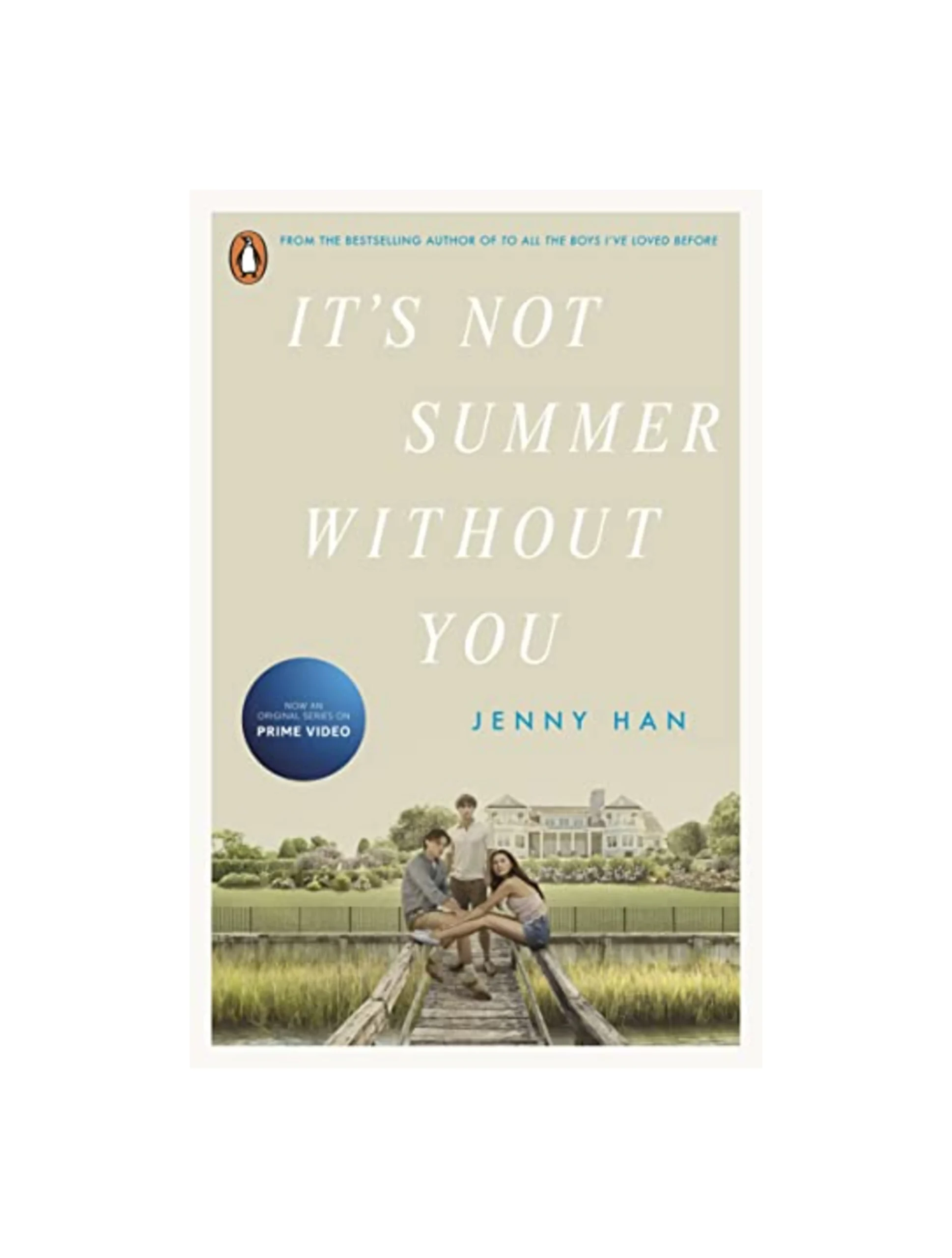 It's Not Summer Without You: Book 2 in the Summer I Turned Pretty Series
