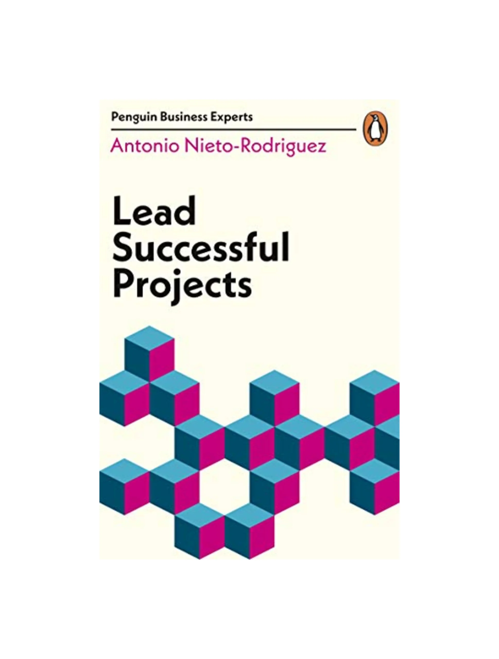 Lead Successful Projects