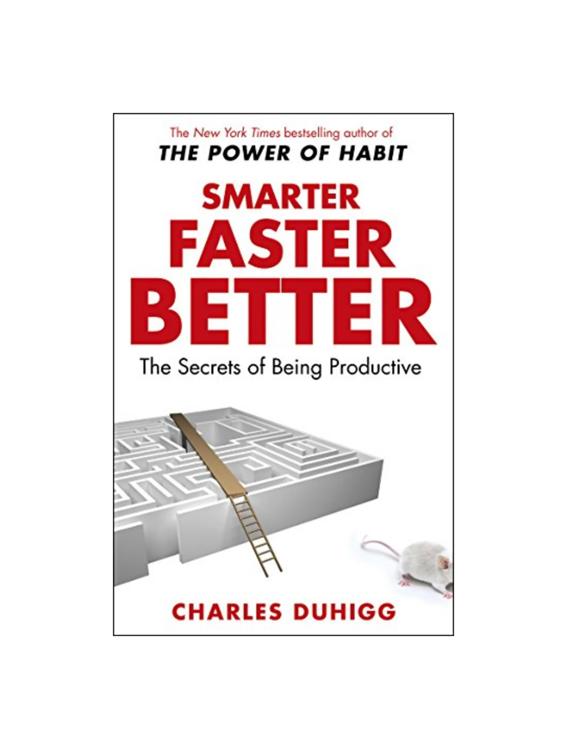 Smarter Faster Better: The Secrets of Being Productive