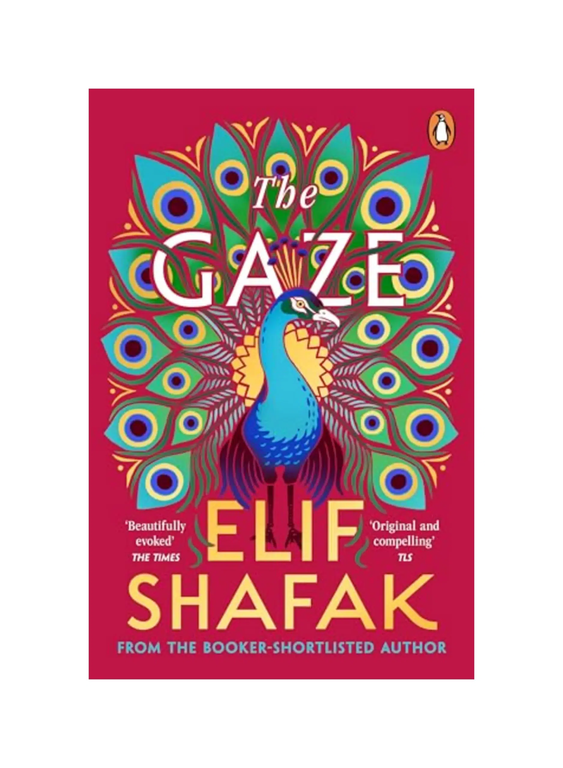 The Gaze: The daringly funny historical novel from the bestselling author of There Are Rivers in the Sky