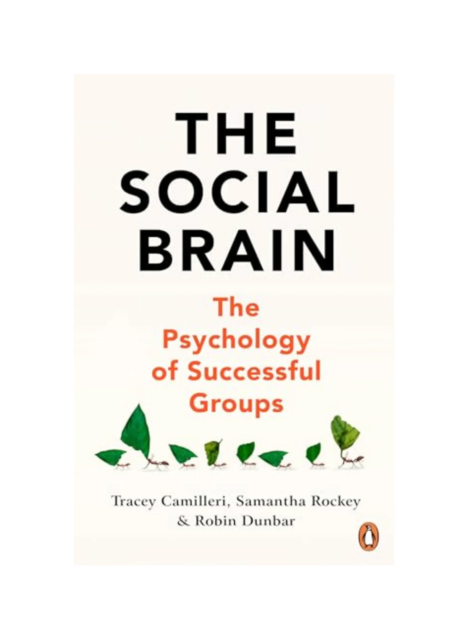 The Social Brain: The Psychology of Successful Groups