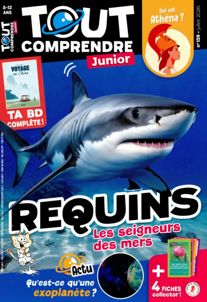 Couverture du magazine TOUT COMPRENDRE JUNIOR n°159